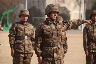 真正男子汉1全集在线观看,热血军旅，男子汉成长记